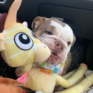 Meet your Posher, Hermelinda